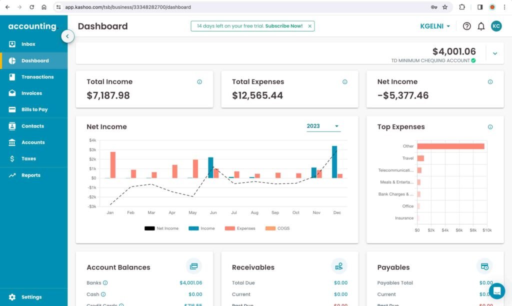 TrulySmall Accounting Screenshot.